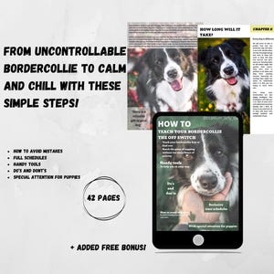 The Off Switch Course - get your bordercollie or high energy dog calm with these simple steps! INSTANT DOWLOAD