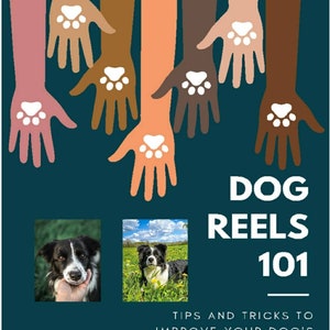May include: A graphic with multiple hands of different skin tones reaching up with paw prints in the palms. The text "Dog Reels 101" is in large white letters. Below the text is the phrase "Tips and tricks to improve your dog's Instagram Reels". At the bottom of the graphic are the social media handles @titanium_lady_sia and @bordercolliequinn. Two photos of border collies are on either side of the text.