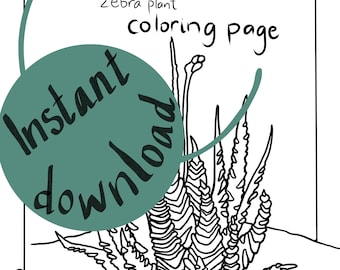 Página para colorear botánica: Cebra Haworthia