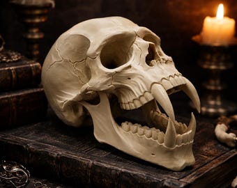 3D Gothic Saber Skull – Skull Fang Sculpture – Dark Fantasy Decoration – Vampire Skull – Gothic Skull Decor – Oddities & Curiosities – Gift