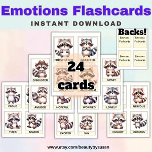 Raccoon Emotions Flashcards for Kids – 24 Cute Feelings Cards for Social Emotional Learning, Preschool, Classroom & Home Use | Printable