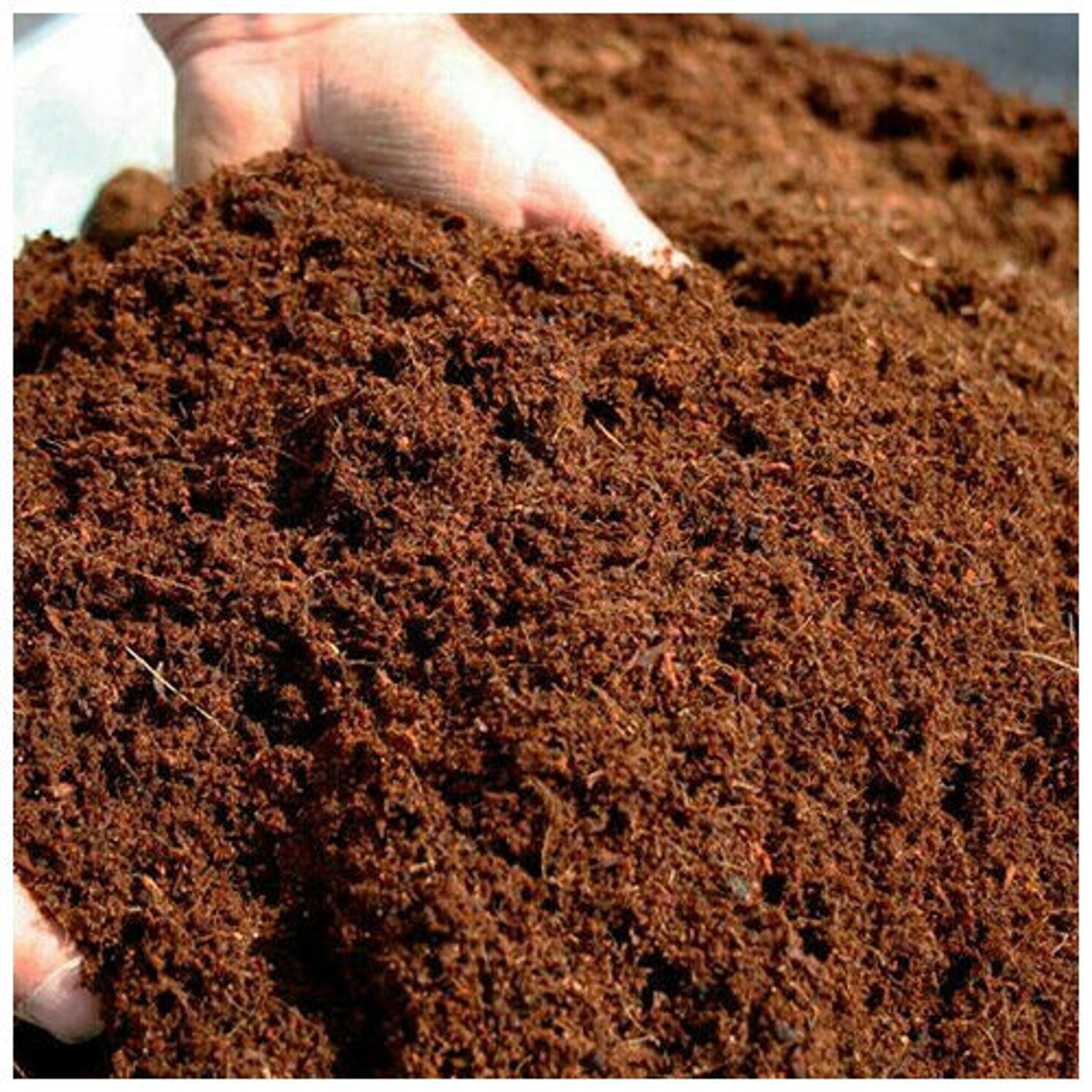 Coco Coir Coco Peat 100 Natural Organic Compost Hydroponic Etsy