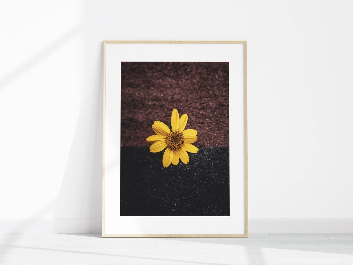 Yellow Flower Print Floral Wall Decor Home Decor Digital | Etsy