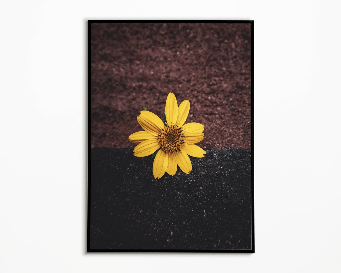 Yellow Flower Print Floral Wall Decor Home Decor Digital | Etsy