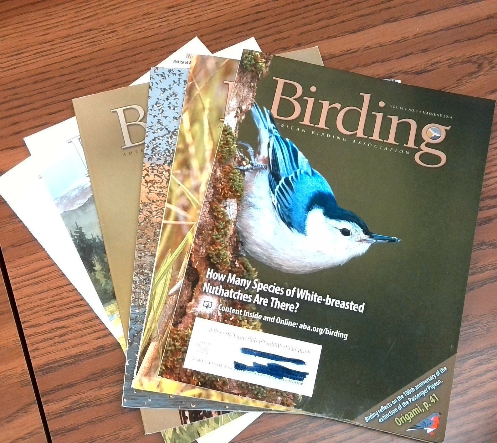 BirdingAmerican Birding Association Set of 6 magazines SET Etsy