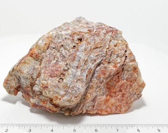 May include: A large, irregularly shaped rock with a mix of white, gray, and reddish-brown colors. The rock has a rough, textured surface and appears to be made of multiple layers.