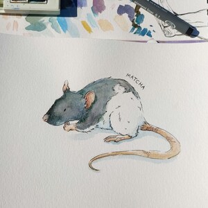Aquarel huisdierportretten