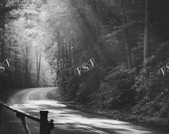 Take Me Home 5 x 7 Art Print