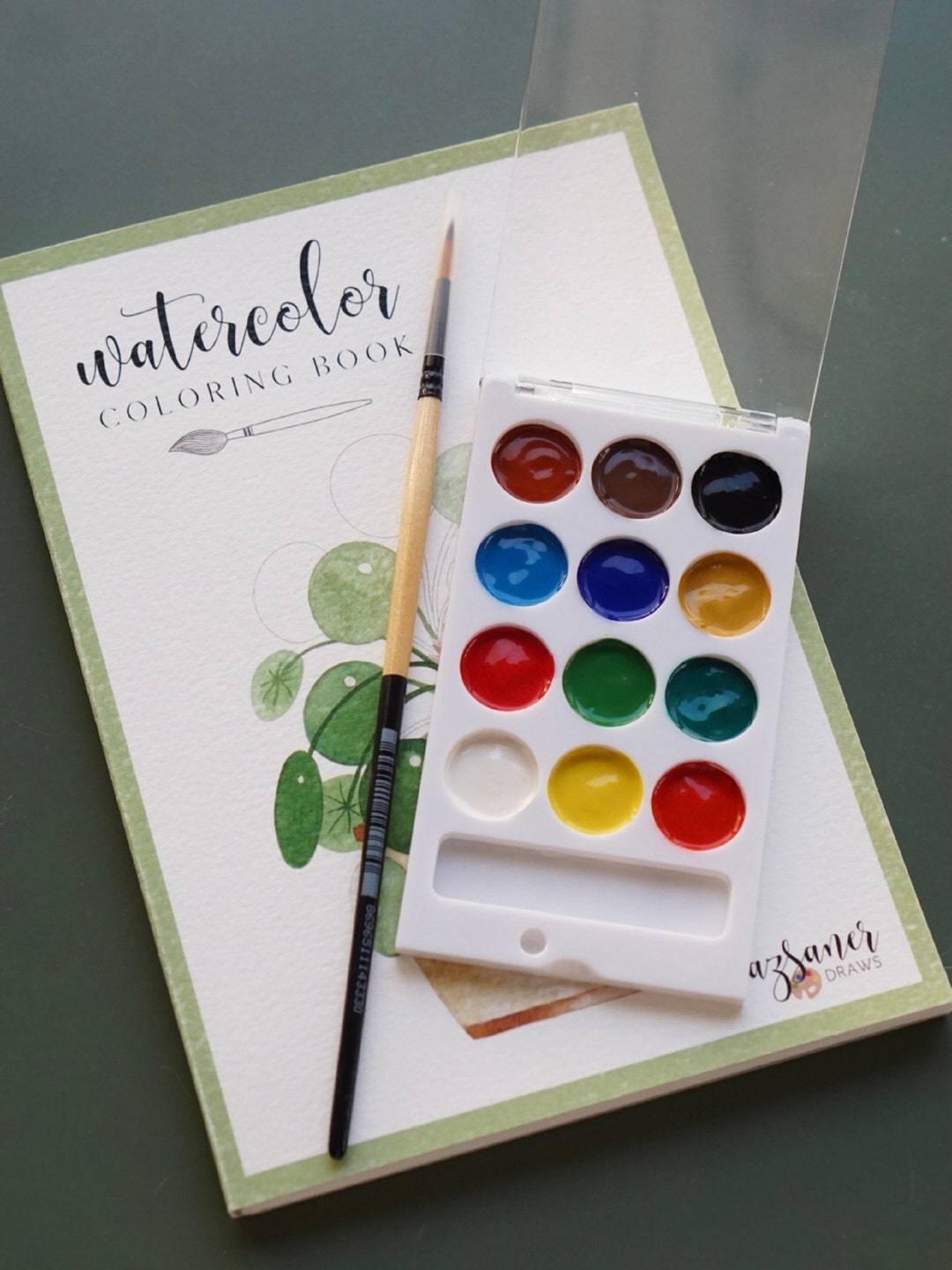 Watercolor Coloring Book Set | House Plants Handmade Illustration ...
