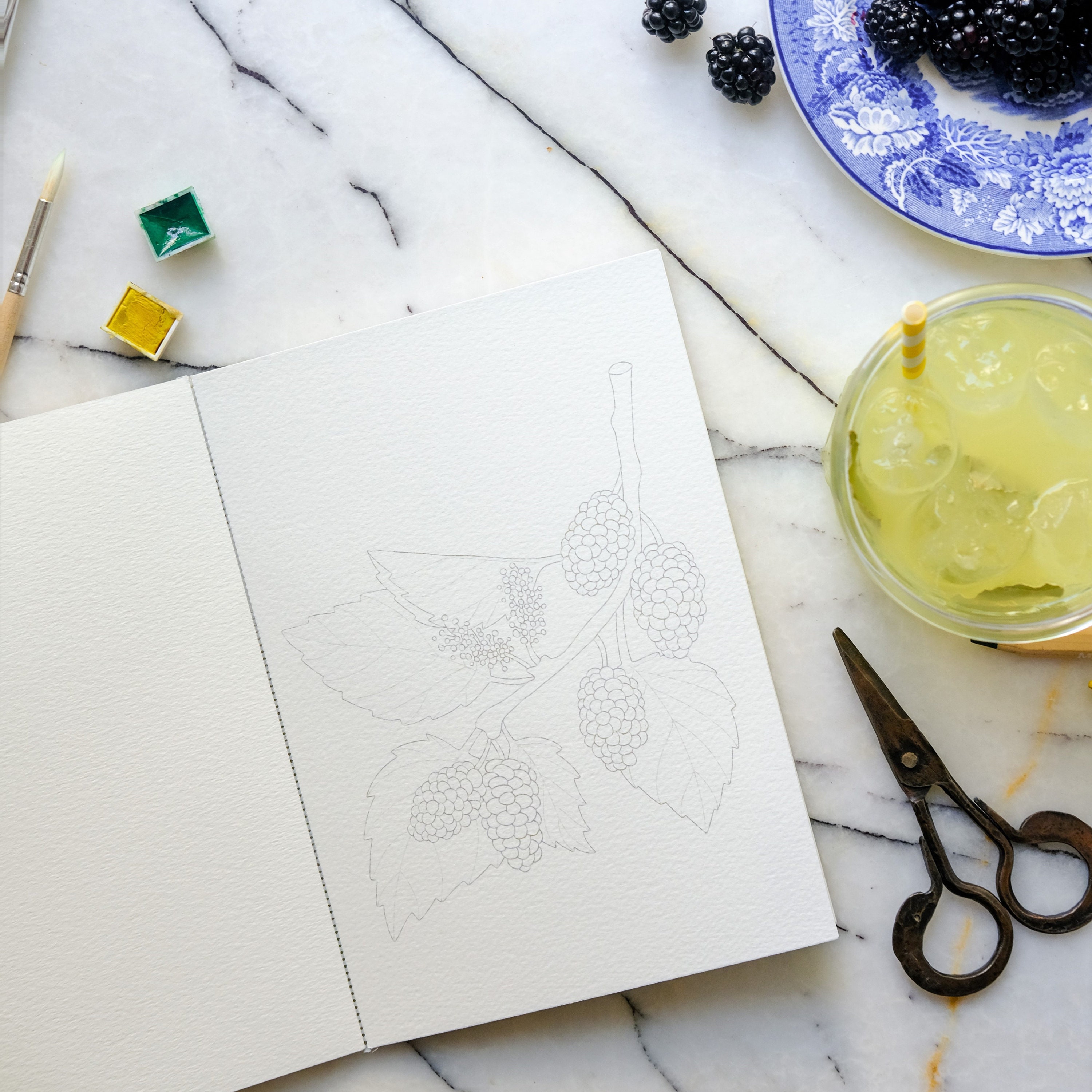 Logbuch-Verlag Lot De 72 Autocollants Colorés Pour Cuisine - Motif Légumes - Pour Une Alimentation Saine - Pour La Cuisine - Bricolage Avec Les