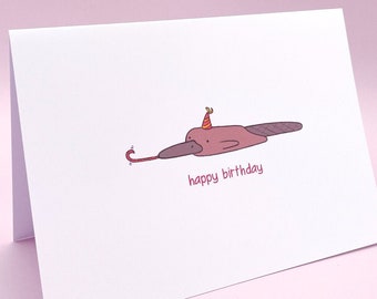 Long Platypus Birthday Card | Greetings Card
