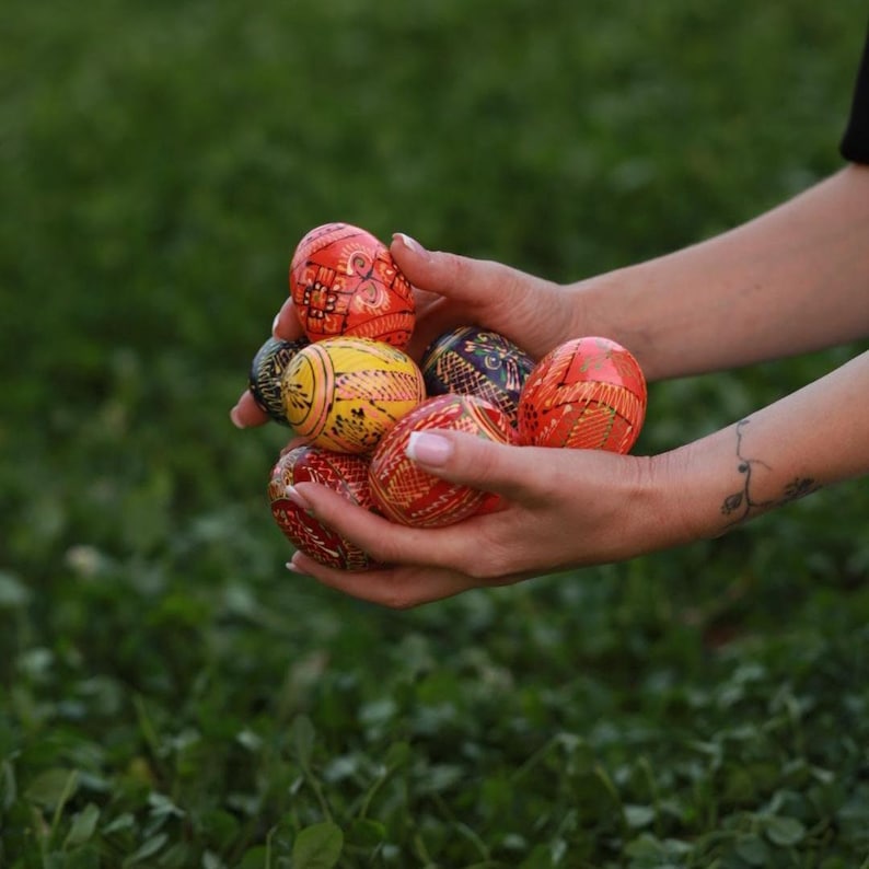 Colorful eggs