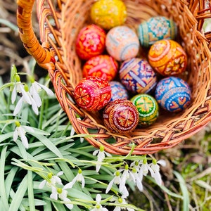 K&ouml;nnte beinhalten: Ein geflochtener Korb gef&uuml;llt mit bunt dekorierten Ostereiern. Die Eier weisen komplizierte Muster in Rot, Gelb, Blau, Orange und Gr&uuml;n auf. Wei&szlig;e Schneegl&ouml;ckchen und gr&uuml;nes Laub umgeben den Korb und schaffen eine Fr&uuml;hlingsatmosph&auml;re.