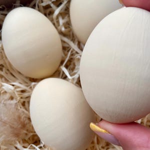 Könnte beinhalten: Vier blass-weiße Eier in einem Strohbett in einer Pappschachtel. Ein Ei wird gehalten. Die Eier haben eine glatte, matte Oberfläche. Die Szene erinnert an eine rustikale, natürliche Ästhetik.