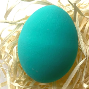 May include: A teal-coloured egg sits on a bed of light brown shredded paper. The egg has a smooth, matte finish and is the focal point of the image. The background is softly blurred, emphasising the egg's colour and texture.