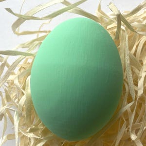 May include: A single, mint-green egg sits in a nest of light-coloured, shredded paper. The egg has a smooth, matte finish and is the central element of the image. The background is a soft, neutral colour, providing contrast to the egg.