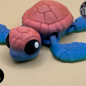 3D Printed Sea Turtle