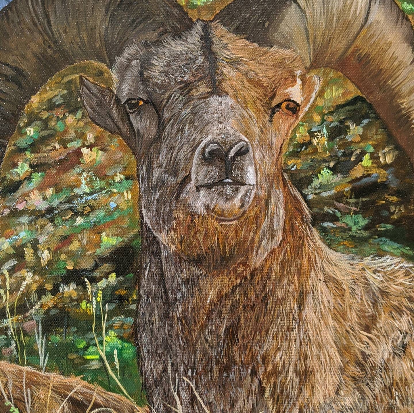 Large Original oil painting Bighorn sheep Etsy
