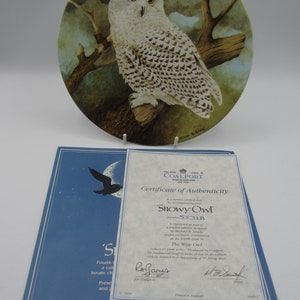 Coalport The Wise Owls Series - Snowy Owl  Boxed With Certicate  Limited Edition Number 5571A