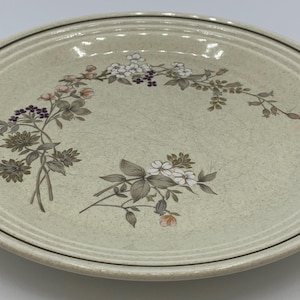 Royal Doulton Bredon Hill Speiseteller 28 3/20,3 cm