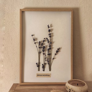 Peut inclure: Un cadre en bois clair contenant une impression botanique de brins de lavande séchés. La lavande violette est présentée sur un fond blanc. Une petite étiquette indique "Lavandula Angustifolia".