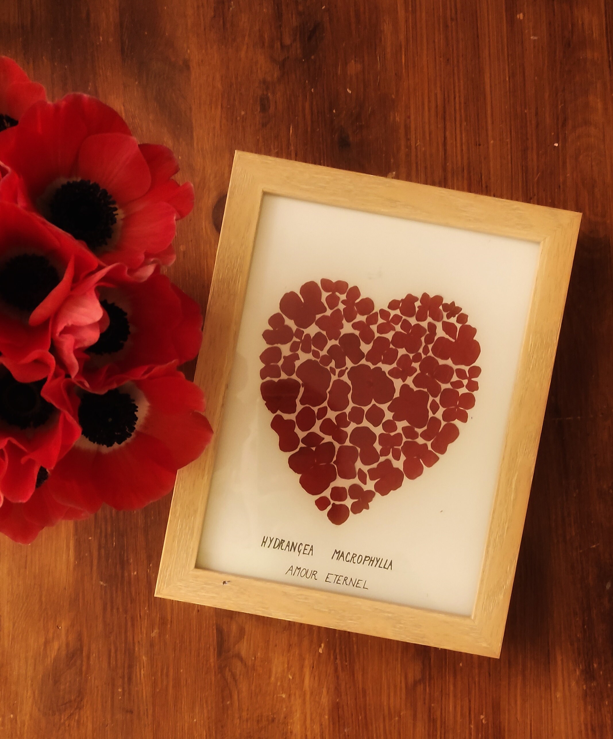 Cœur d'hortensia