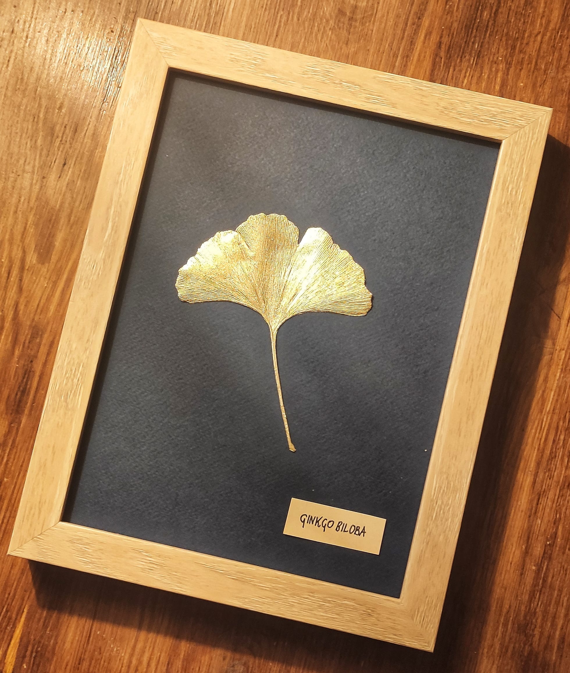 Feuille de Ginkgo Doré