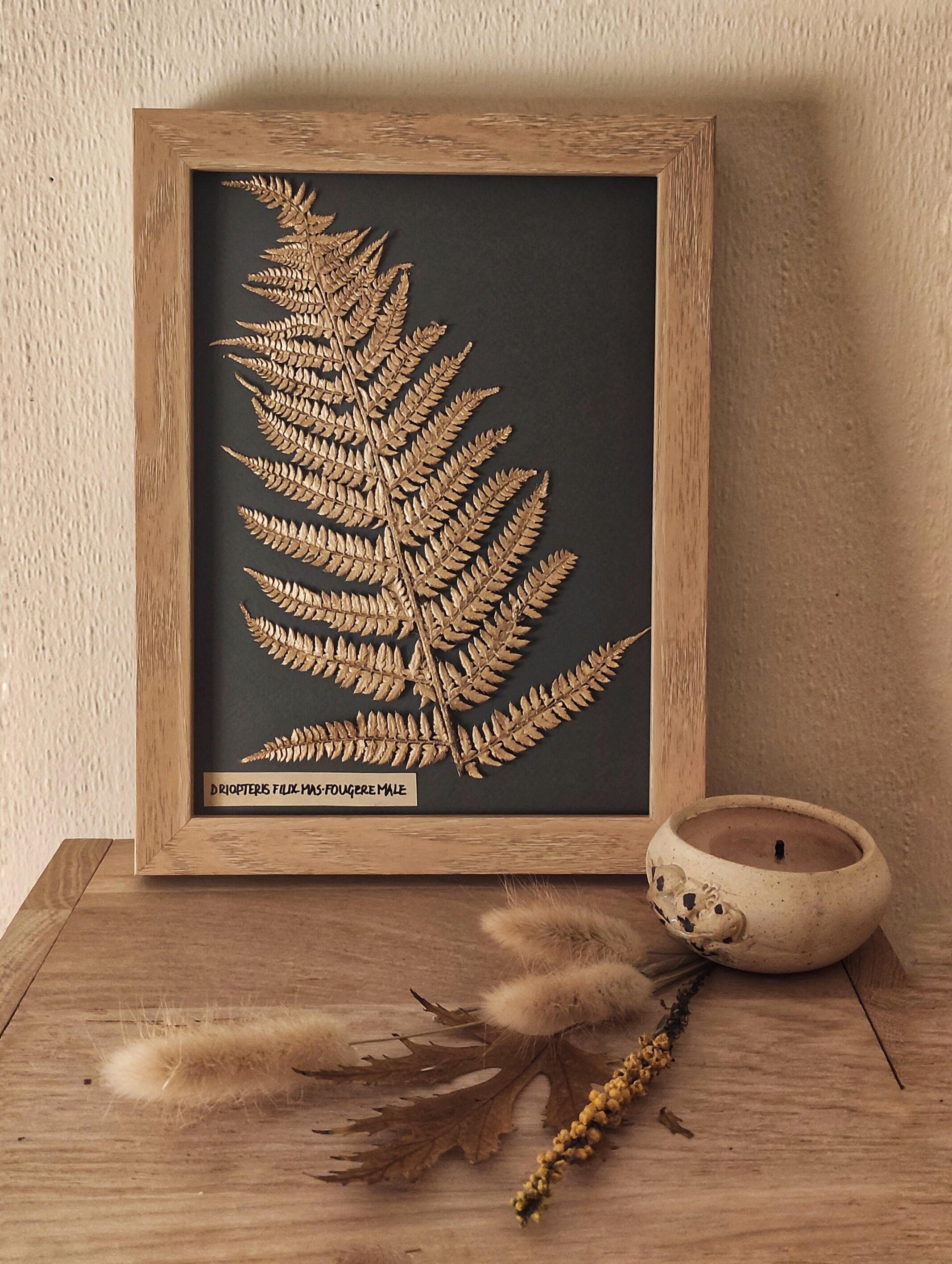 Herbier Petite Fougère Dorée