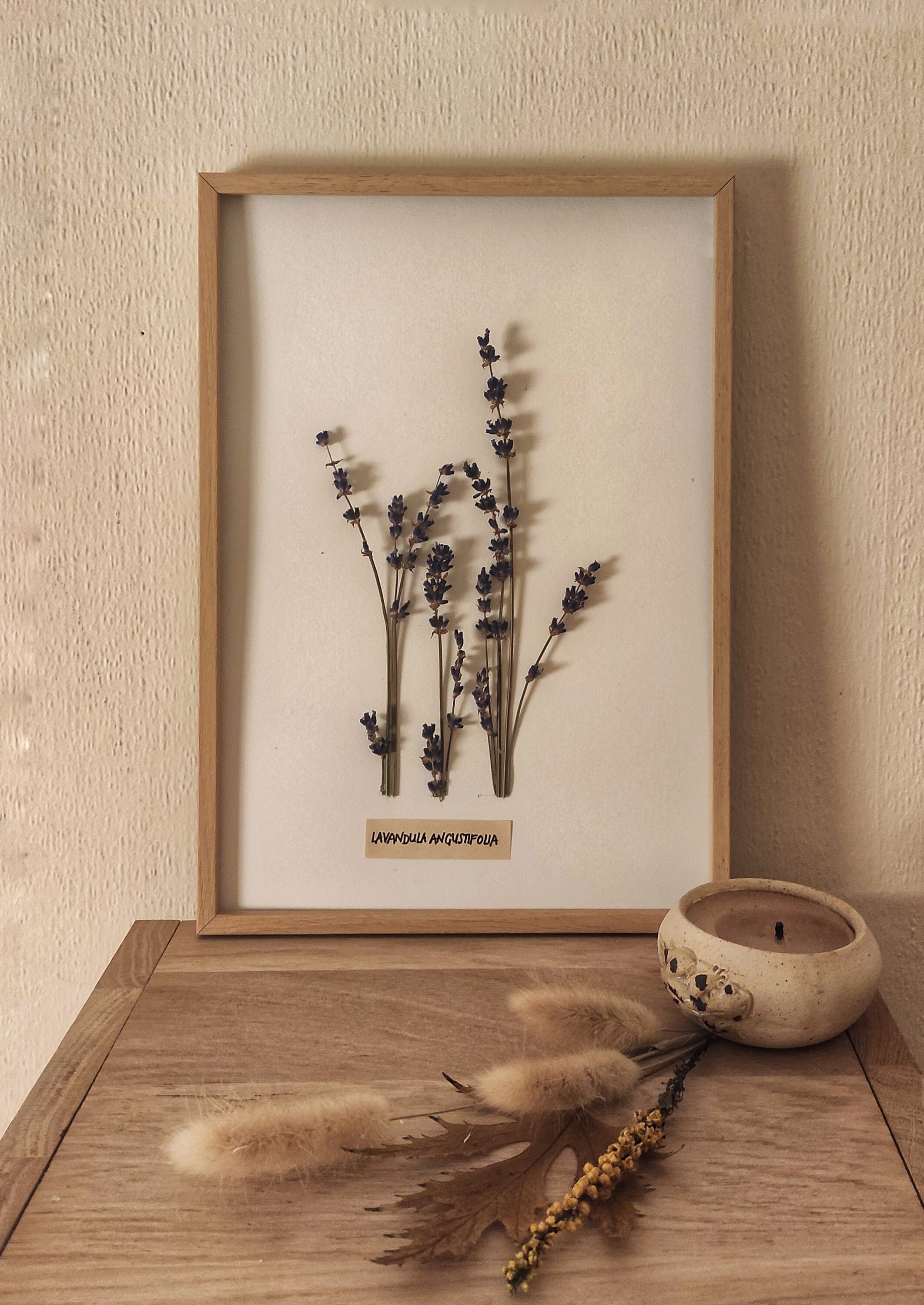 Composition de Lavande