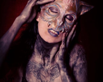 Cat masks