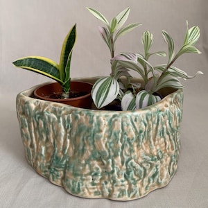 May include: A ceramic planter with a textured, tree-trunk design in green and beige. It contains two potted plants: a snake plant with yellow-edged green leaves and a Tradescantia with green, white, and pink striped leaves.