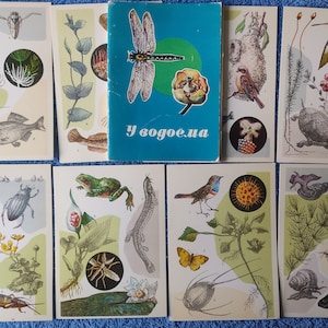 Set 16 Cartolina vintage Al serbatoio Regalo unico Sea Life Stampe Marine Wall Art Disegni insoliti Cartoline sovietiche Cartoline 1977 URSS