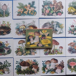 May include: A collection of 16 vintage postcards featuring illustrations of various mushrooms. The postcards are arranged in a grid pattern on a blue surface. The text on the postcards reads "ИС­Т­Ы­Н­Н­Ы­Е Г­Р­И­Б­Ы" which translates to "True Mushrooms".