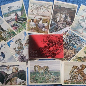 ZELDZAME Set van 16 Sovjet Vintage Ansichtkaarten Rood Boek van de USSR. Dierlijke vogels aquarel schilderij tekening illustratie Kunst verzamelkaart Ansichtkaart