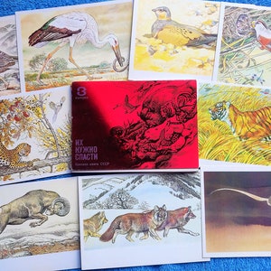 ZELDZAME Set 16 Sovjet Vintage Ansichtkaarten Rood Boek van de USSR. Dierlijke vogels aquarel schilderij tekening illustratie Kunst verzamelbaar Print kaarten