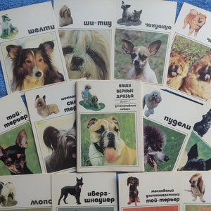 ZELDZAME Set van 20 Vintage Ansichtkaarten Decoratieve honden. illustratie Decoraties KUNST Leuke en grappige Hondenrassen Bulldog Pekinees hondje foto's