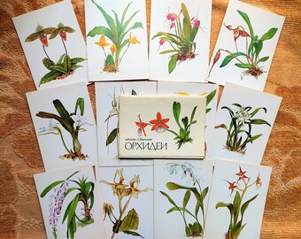 Conjunto de 12 postales botánicas Dibujos Orquídea Flor Rusa ilustraciones florales Historia Increíble Botánica plantas ilustradas impresiones imágenes