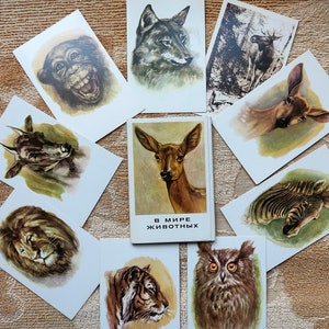 Ensemble de 16 cartes postales vintage 1977 Peinture dans le monde animal Aquarelle Dessin d’art impression hiver forêt enfants Enfants Bébé guide de la faune