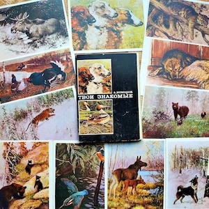 Set 16 cartes postales vintage 1975 Ukraine Animaux et Oiseaux Komarov. Conte de fées Art populaire impression aventure Soviétique Journaling Supplies Forêt d’ours