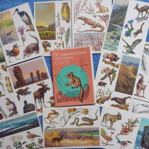 ZELDZAME set van 16 vintage ansichtkaarten beschermde dieren en planten. illustratie Decoraties ART Leuke en grappige natuur en verbazingwekkende botanische kaart