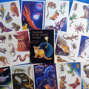 ZELDZAME Set 16 Vintage Ansichtkaarten Prachtige Nacht natuur dieren Planten. illustratie Decoraties ART Cute Funny Amazing Botanisch plakboek