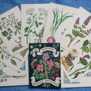 RARE Set 16 Cartoline d'epoca Storia delle piante di spezie. Incredibili fiori botanici medicinali illustrati Descrizioni Informazioni educative