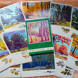 RARE Set 15 Cartoline d'epoca Ucraina foresta nelle immagini degli artisti Paesaggi dell'URSS Illustrazioni della natura Pittura Fiori botanici