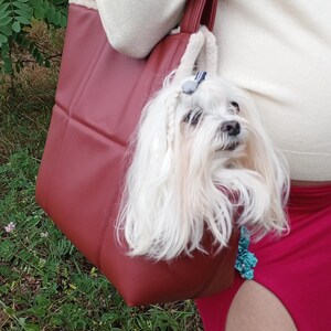 Stylish dog carrier bag Dog carrier Puppy carrier bag Tragetasche für Hunde Tasche mit Fell für einen Welpen Sac pour chien Porte-chiot Sac image 6