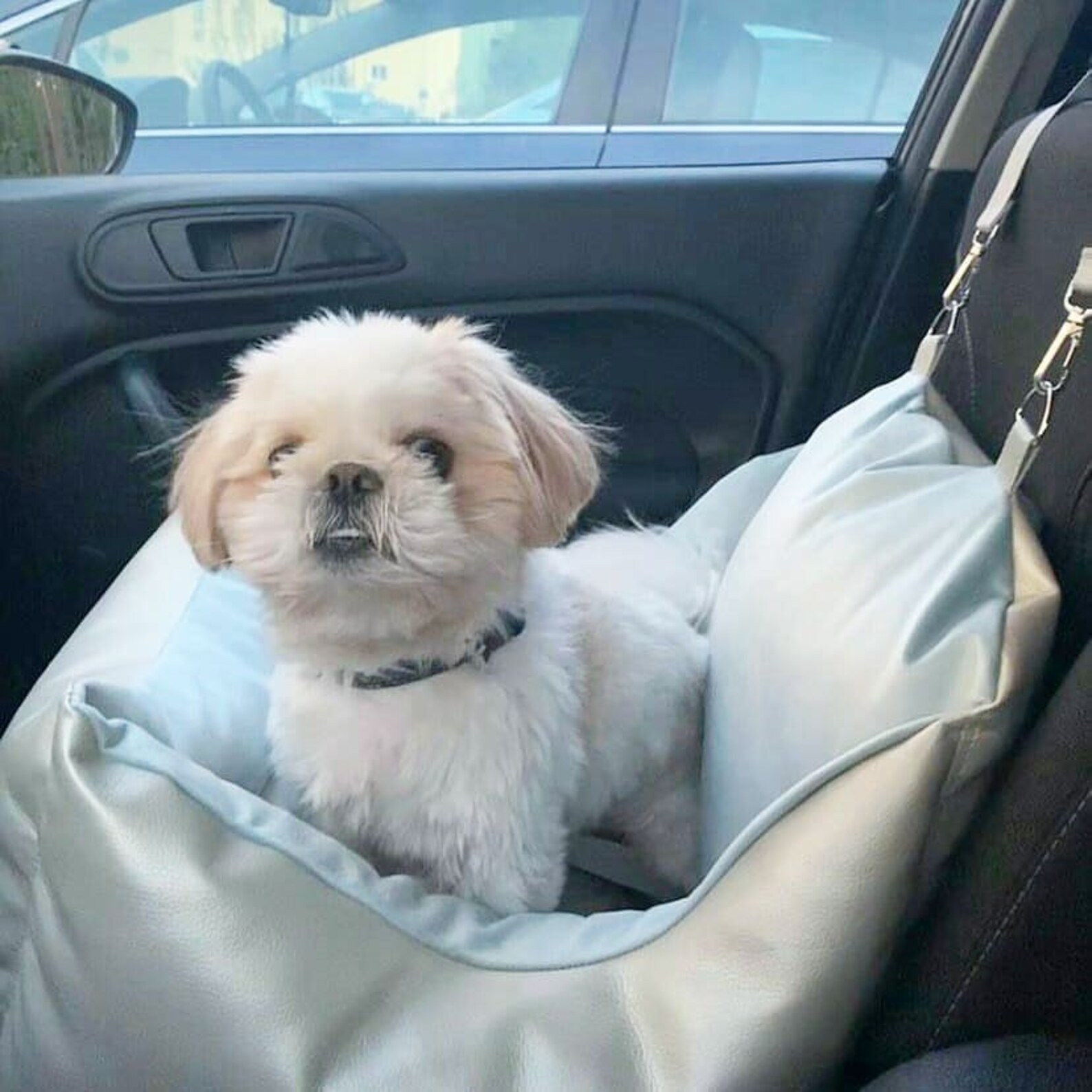 Autositz für einen Hund Welpen eine Hängematte für einen Etsy