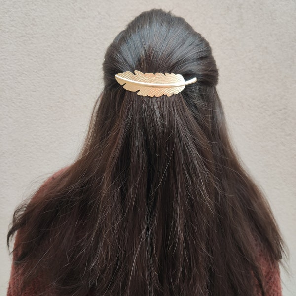 Barrette cheveux