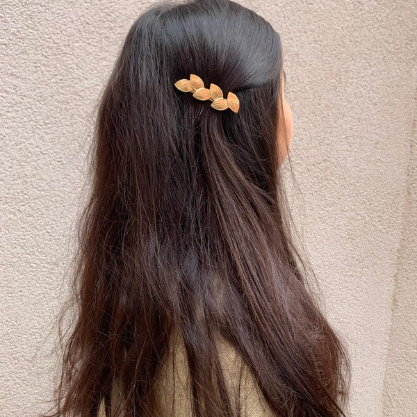 Barrette cheveux