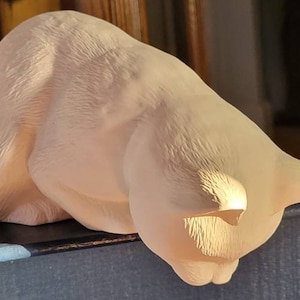 May include: A light beige ceramic cat figurine in a resting pose. The cat is arched over, with its head and paws hanging down. The figurine has a smooth texture and is placed on a dark surface.