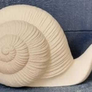 May include: A white ceramic snail sculpture with a detailed shell and a long, curved neck. The snail is in a resting position with its shell facing the viewer.
