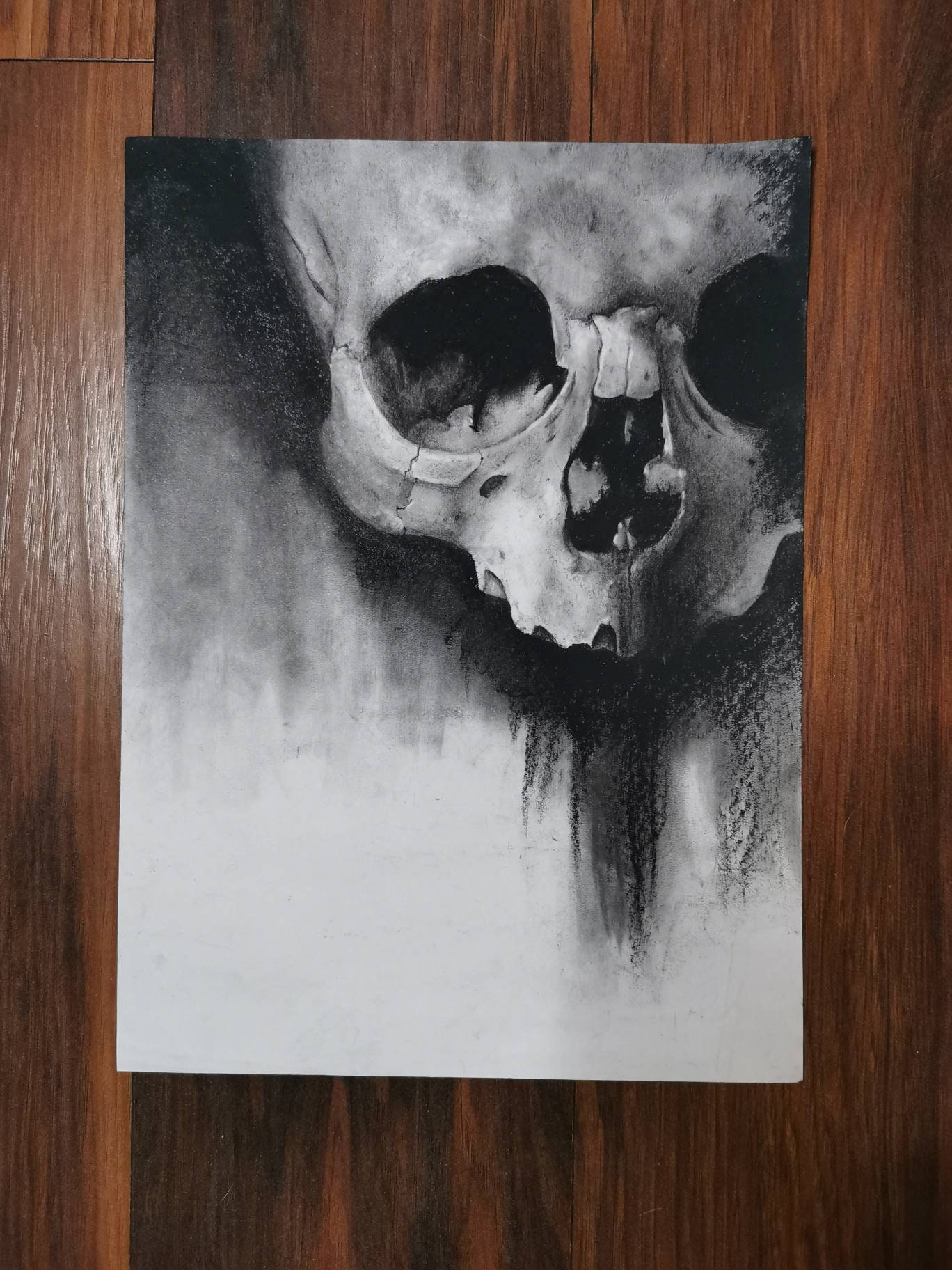 White Charcoal Skull Drawing - 9in x 12in